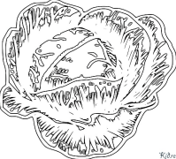 cauliflower Coloring Pages To Print